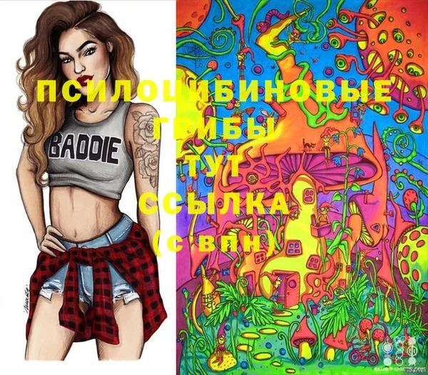 СК Лихославль