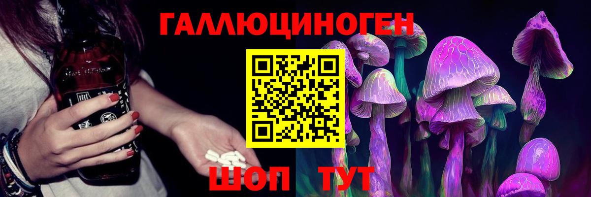 Минусинск  Галлюциногенные грибы Psilocybine cubensis  Вход с VPN 